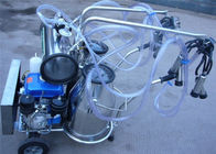Mesin Diesel Double Machine Bucket Sapi Perah Dengan Motor Listrik / Pulsator