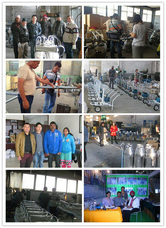 Chuangpu Animal Husbandry Technology (Suzhou) Co., Ltd. manufacturer production line