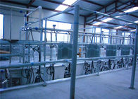 Automatic Parallel Herringbone Milking Parlor Untuk Susu Susu, Kambing, Domba