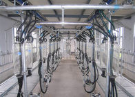 Layout Compact Milking Equipment Herringbone Milking Parlor Untuk Kambing